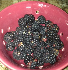 Blackberry Bowl